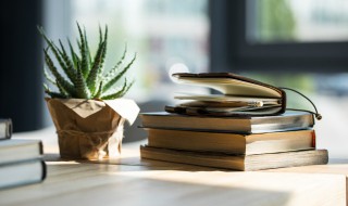 前门去虎后门进狼成语解释（前门去虎后门进狼成语解释）