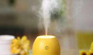 什么情况下用加湿器 什么情况下用加湿器比较好