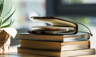 完的组词 完的组词是什么