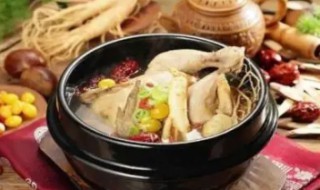 鲜西洋参的食用方法（鲜西洋参的食用方法和禁忌）