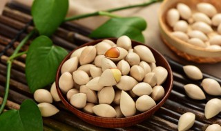 白果的食用方法与用量（新鲜白果的食用方法与用量）