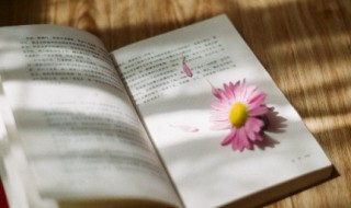 要的组词（要的组词一年级）