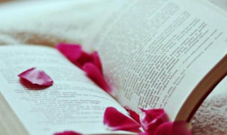 急的组词（急的组词和拼音）