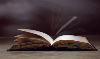 奈的组词 拯的组词