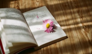 一个黑一个出读什么 一个黑一个出念啥