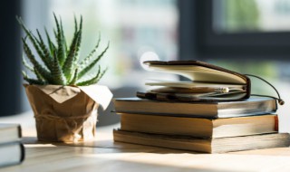 一个土一个乞读什么 左土右乞读什么