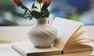 增字组词（增字组词三年级）