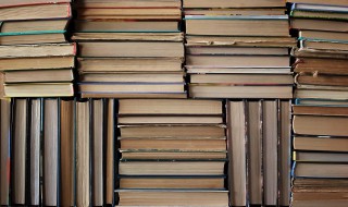 一个口一个齿读什么（一个口一个齿读什么字）