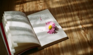 一个足一个果读什么(一个足一个果读什么时候)