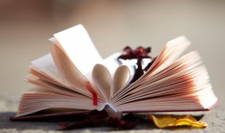 暴的组词（暴的组词是什么）