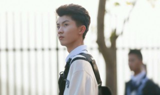 念念演员表(TF念念演员表)