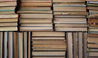 西多一横读什么（西多一横读什么加个先）