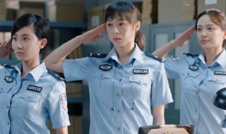 冷案演员表 冷案演员表介绍