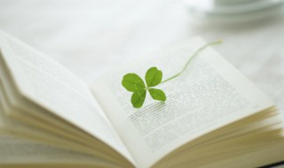 斐读什么（斐读什么音）