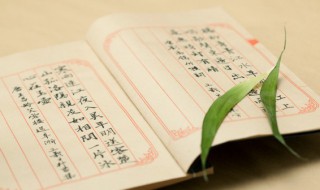 关于秋天的俗语 关于秋天的俗语三句