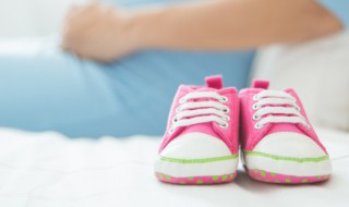 vans是什么牌子(vans是什么牌子的衣服)