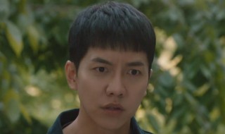 窥探演员表（韩剧窥探演员表）