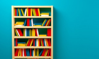 狂鸟读什么（狂鸟读什么鵟）