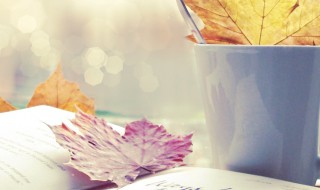 原形毕露是什么意思 有进无退,原形毕露是什么意思