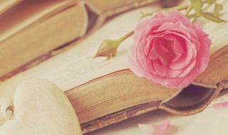 慈乌反哺是什么意思 慈乌反哺是什么意思拼音