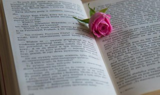 恒河沙数是什么意思 成语恒河沙数的意思