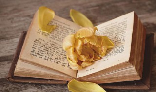 老成持重是什么意思 老成持重的