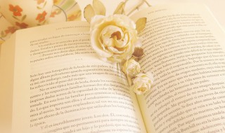 一触即溃是什么意思（触之即溃意思）