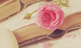 金银首饰是什么意思(女人梦见金银首饰是什么意思)