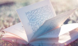 泥塑木雕是什么意思(泥塑木雕是什么意思啊)