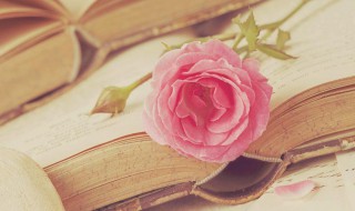 雅量高致是什么意思 雅量高致下一句