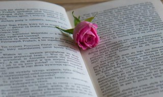 字斟句酌是什么意思 字斟句酌的意思解释