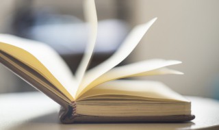 千疮百孔是什么意思（千疮百孔是什么意思解释）