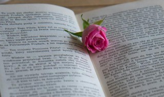 同年而校是什么意思