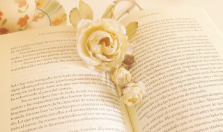 无声无息是什么意思 无声无息是什么意思和生肖