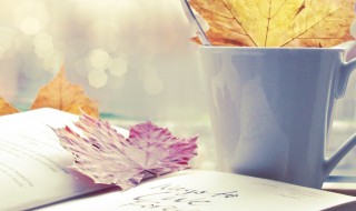 口碑载道是什么意思 口碑载道解释