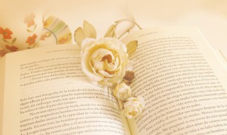 歌功颂德是什么意思 歌功颂得的意思