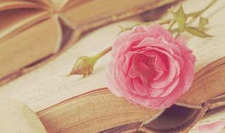 花言巧语是什么意思 花言巧语是什么意思解释词语