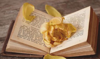 为非作歹是什么意思 为非作歹是什么意思代表什么生肖