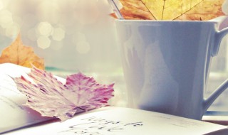 数米而炊是什么意思（米而炊）