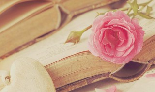 唾手可得是什么意思（山坡上的蒲公英一样唾手可得是什么意思）