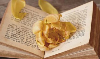 气象观测场是什么意思 气象观测场是什么意思啊