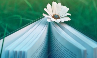 耸壑昂霄是什么意思 耸壑昂霄云