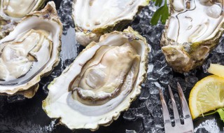 牡蛎粥的做法 牡蛎粥的做法和功效