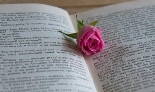 千山万壑是什么意思（千什么万壑的意思）