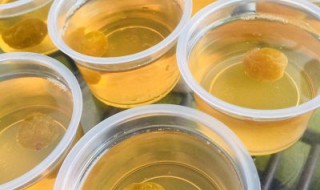 梅子冻的做法 梅子果冻做法