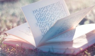 刚亦不吐柔亦不茹的意思（刚柔无吐茹什么意思）