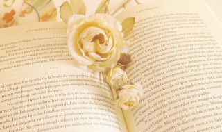 好看的意思（好看的意思相近的词语）