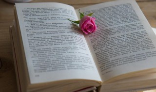 细节的意思（不拘细节的意思）