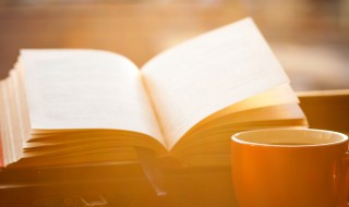 适意的意思（适意的意思解释）