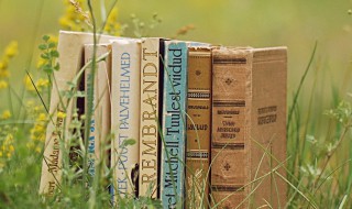 前人失脚后人把滑的意思(前人失脚后人把滑是什么意思)